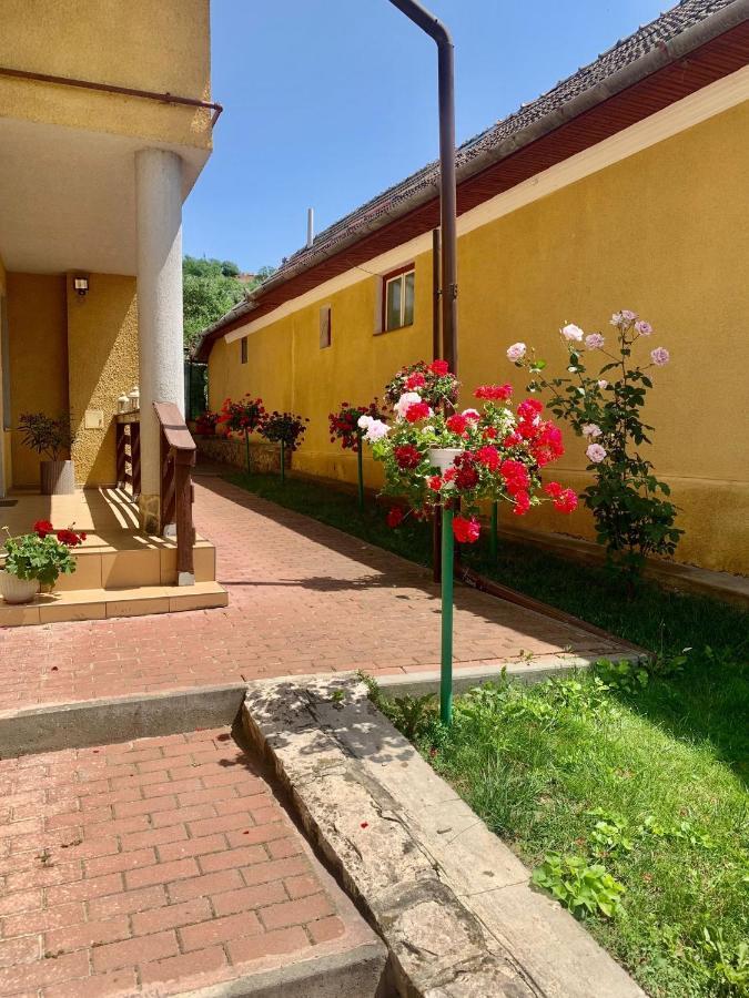 Ferienwohnung Casa Ramona Turda Exterior foto